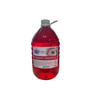 Detergente Concentrado Lucybel 5l
